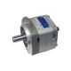 Voith IPCA3-5-171 Gear Pump