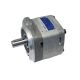 Voith IPCAP6-100-171 Gear Pump